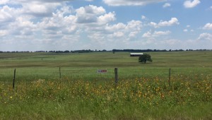 12 acre 3RR