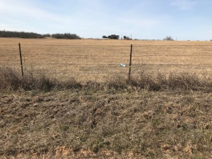 DSR 11 acres #5