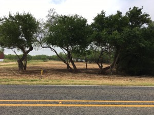 Lot 15B 2017