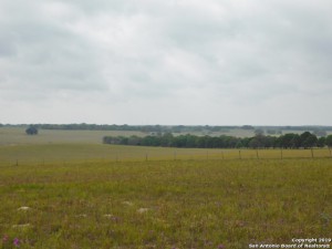photo0 (1)